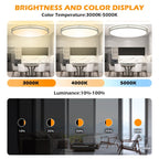 DLLT 32In Oval LED Ceiling Light Fixture, 65W Dimmable LED Flush Mount Ceiling Light with Remote, 3000K/4000K/5000K Adjustable, Brush Nickel Finish for Bedroom/Living Room/Dining Room - WS-FPC39-65C-D 5 | DEPULEY
