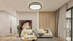 Ceiling Light